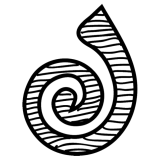 shape