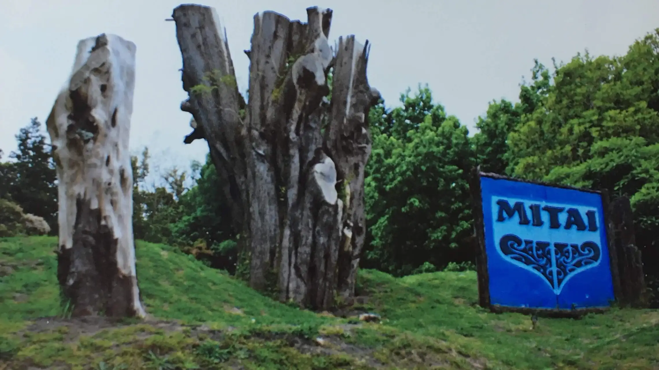 a sign on a trail in the woods