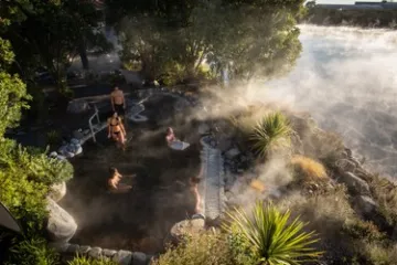 a group of people in a forest