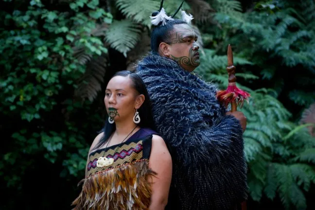 a person in a forest